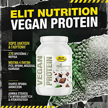 Vegan Blend Protein